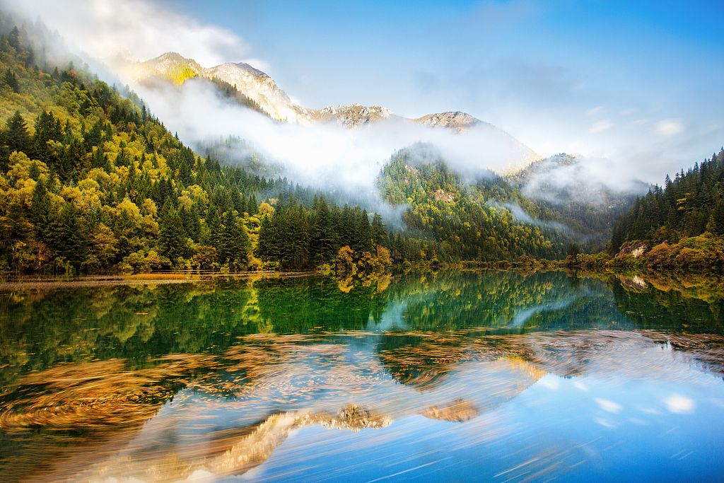 【理想双动全景四川】成都 九寨沟 黄龙 乐山 峨眉山 双飞双动八天游